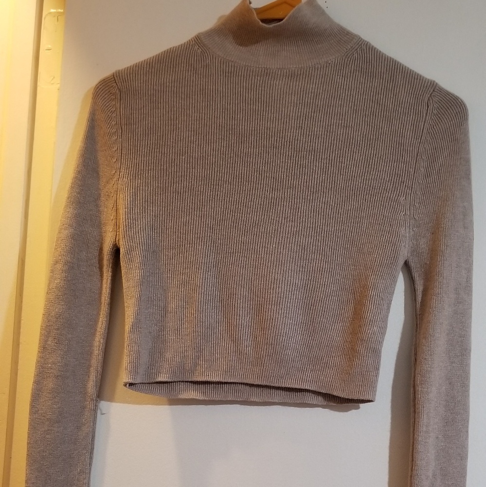 Cream Colored Long Neck Long Sleeve Crop Top
